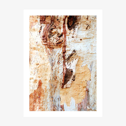 Gum Bark