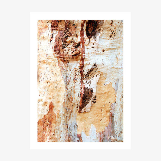 Gum Bark