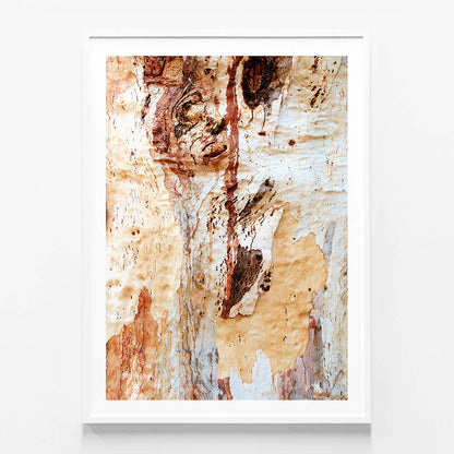 Gum Bark