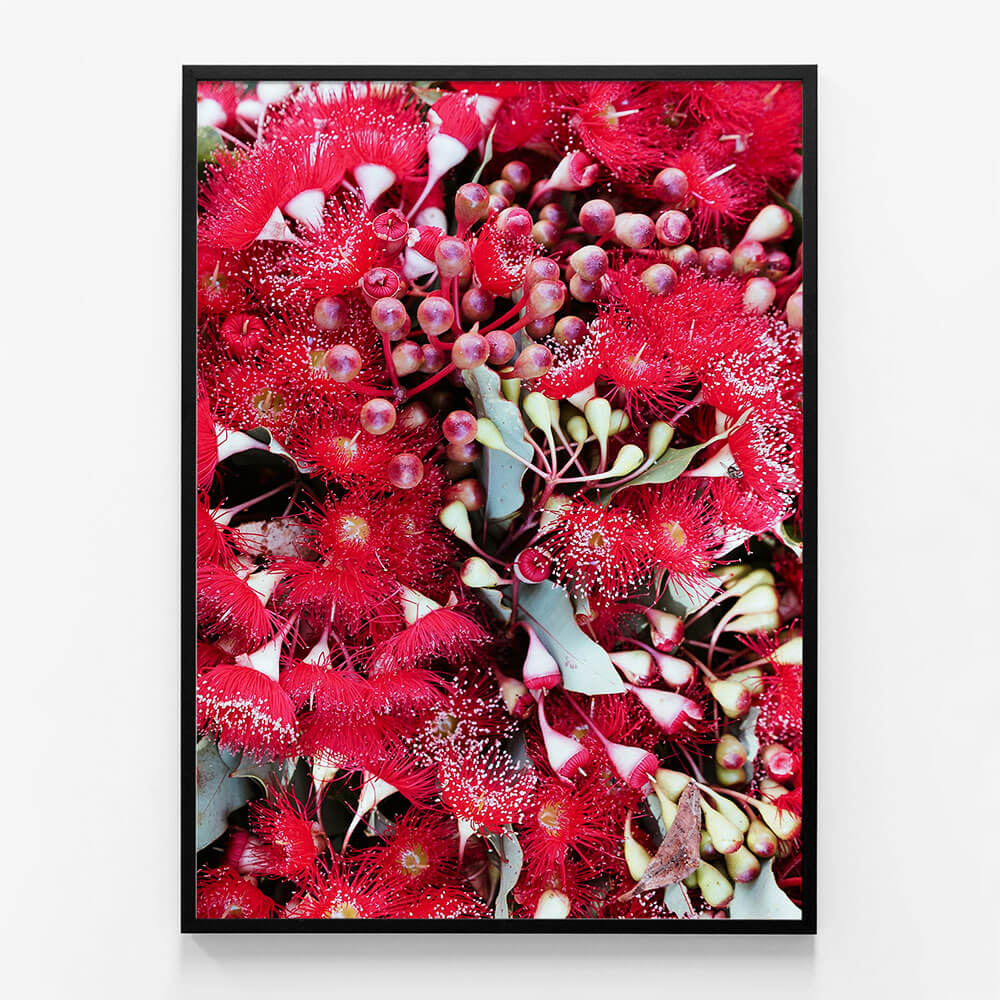 Gum Flowers