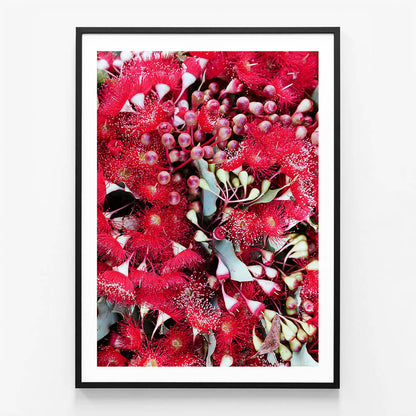 Gum Flowers