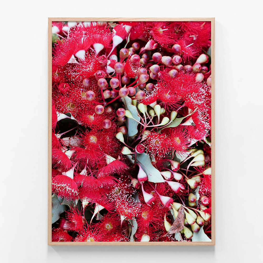 Gum Flowers