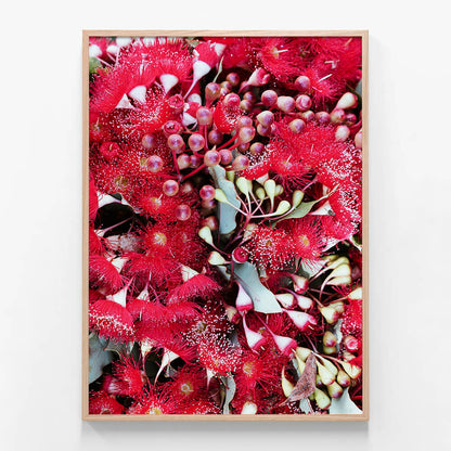 Gum Flowers