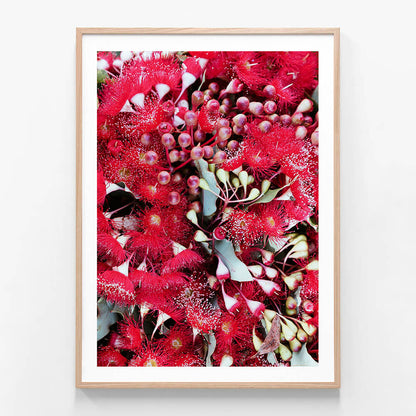 Gum Flowers
