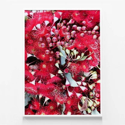 Gum Flowers
