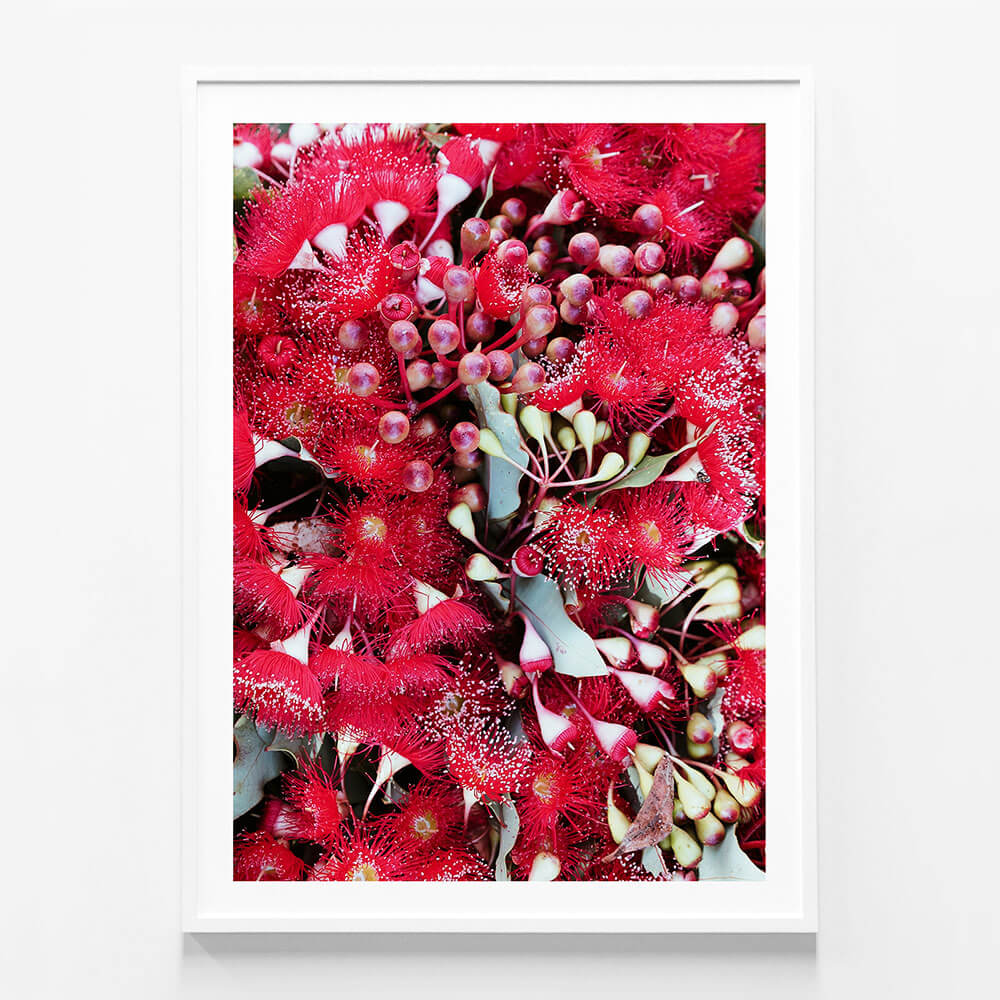 Gum Flowers
