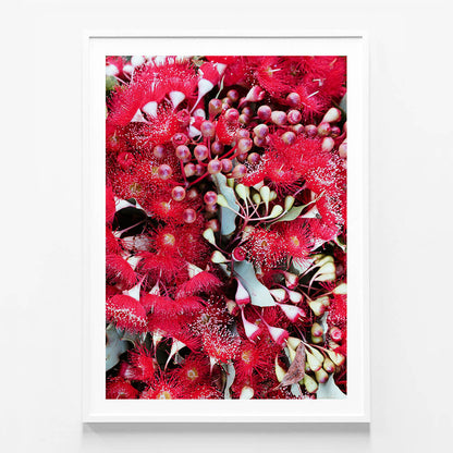 Gum Flowers