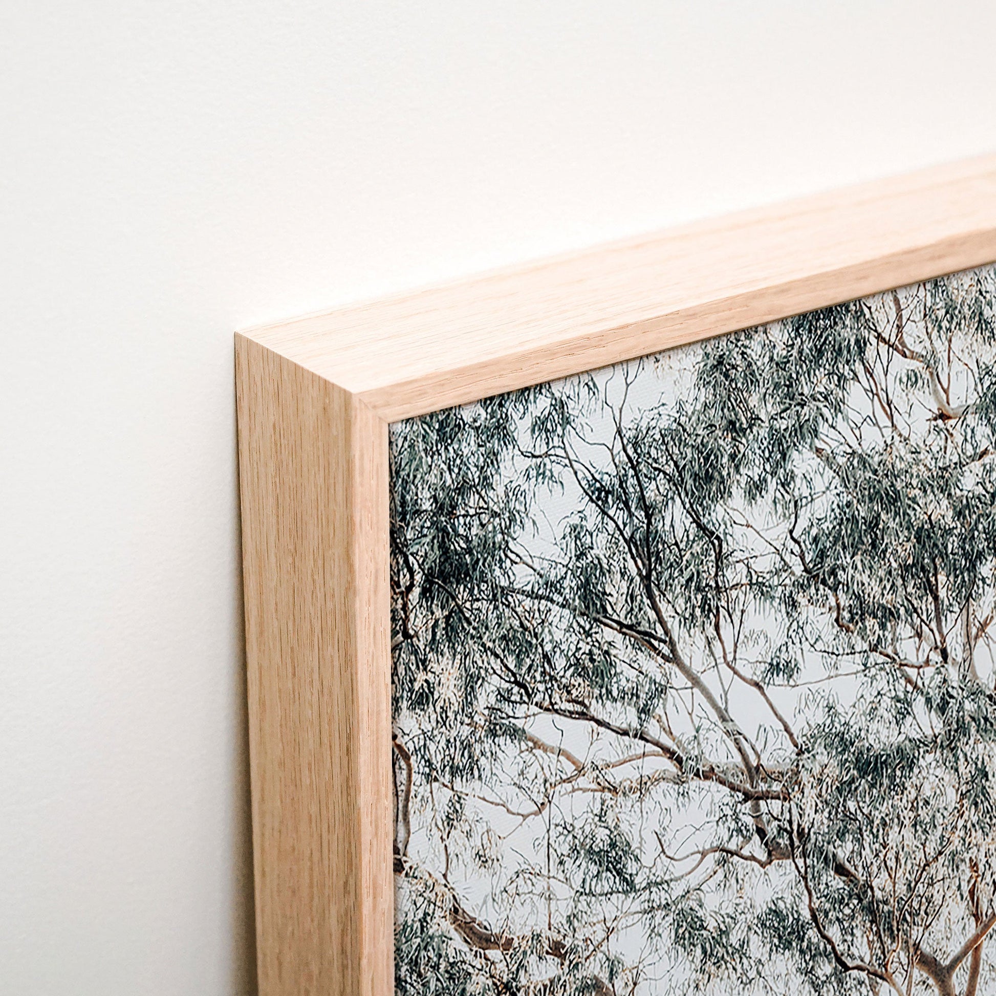 Gum Trees Canvas corner detail