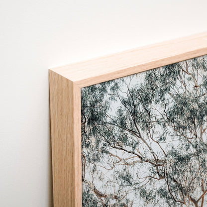 Gum Trees Canvas corner detail