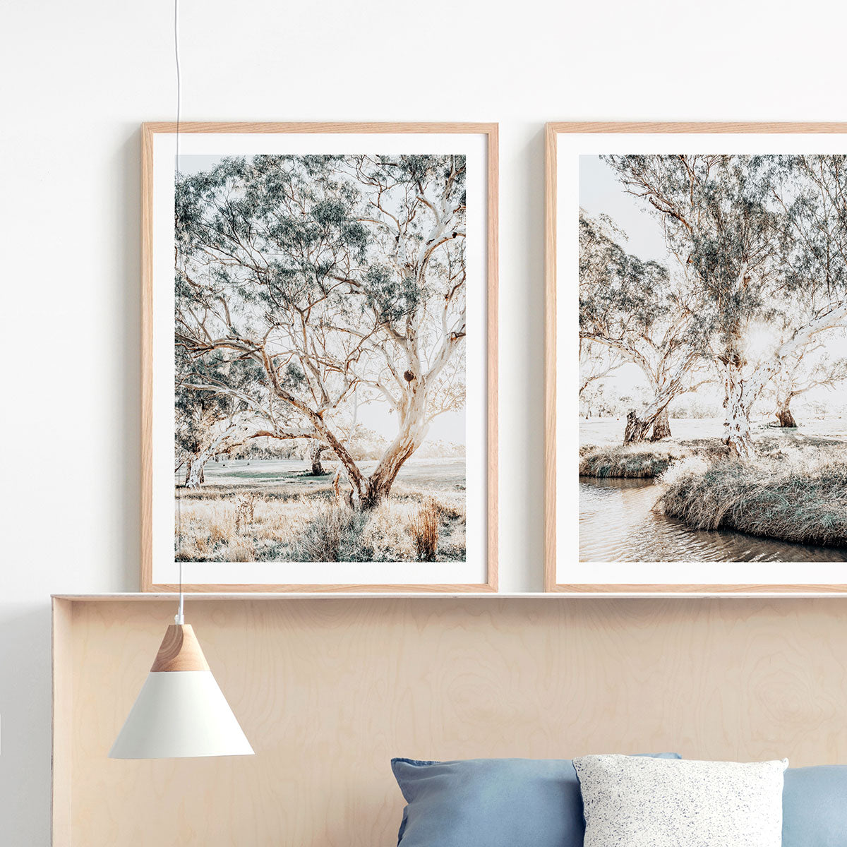 Gum Trees