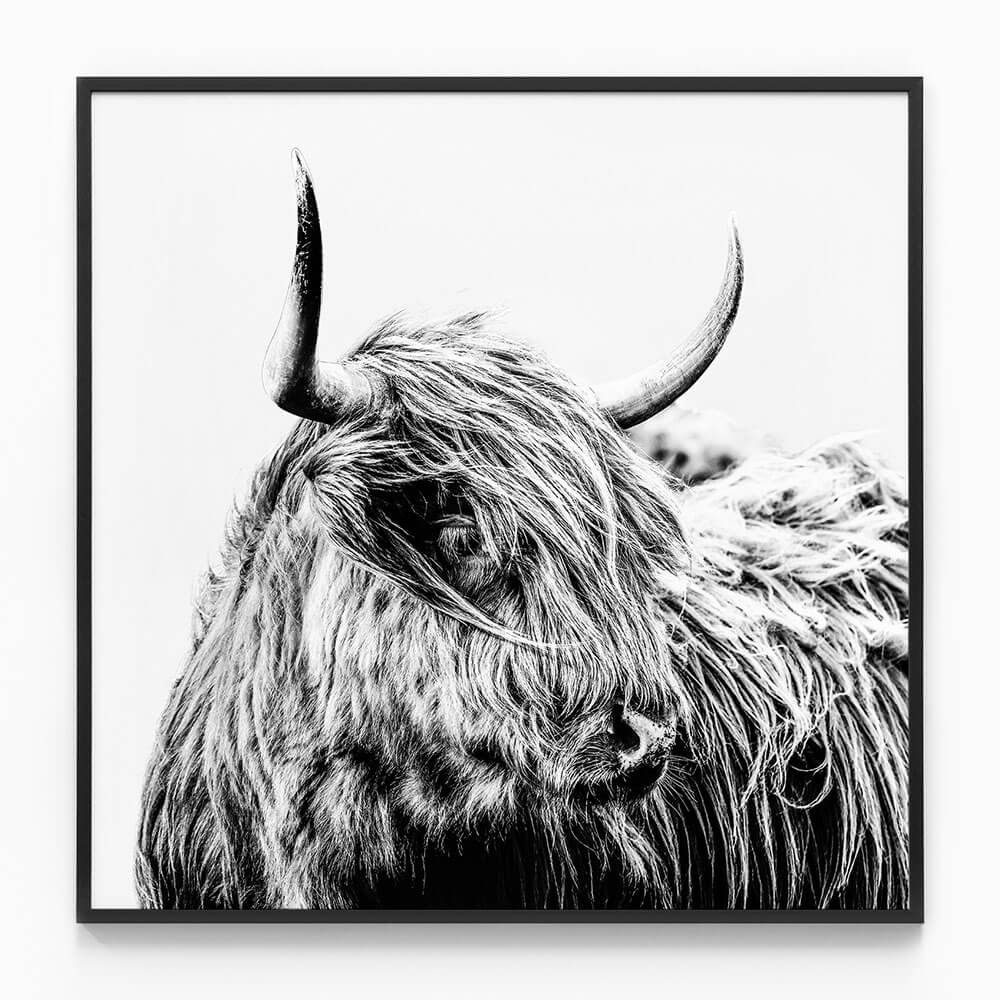 Hamish B&W