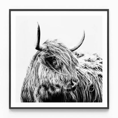 Hamish B&W