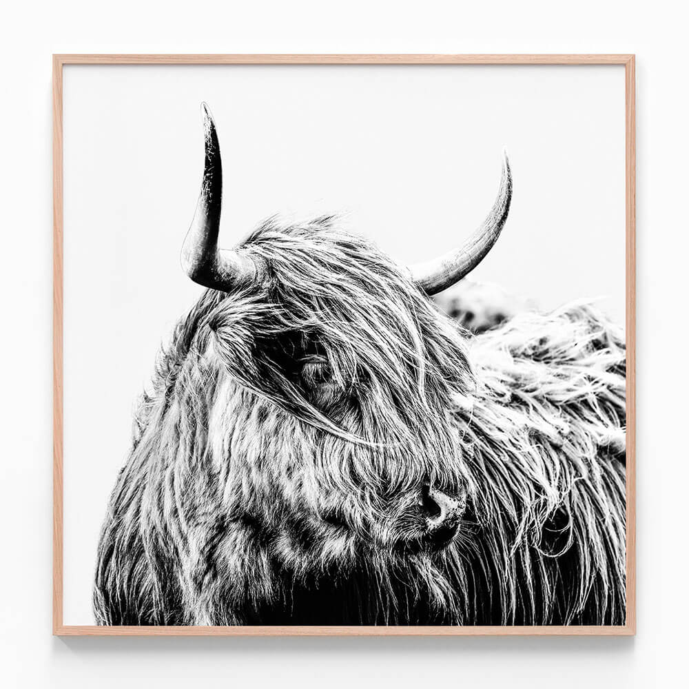 Hamish B&W