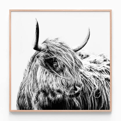 Hamish B&W