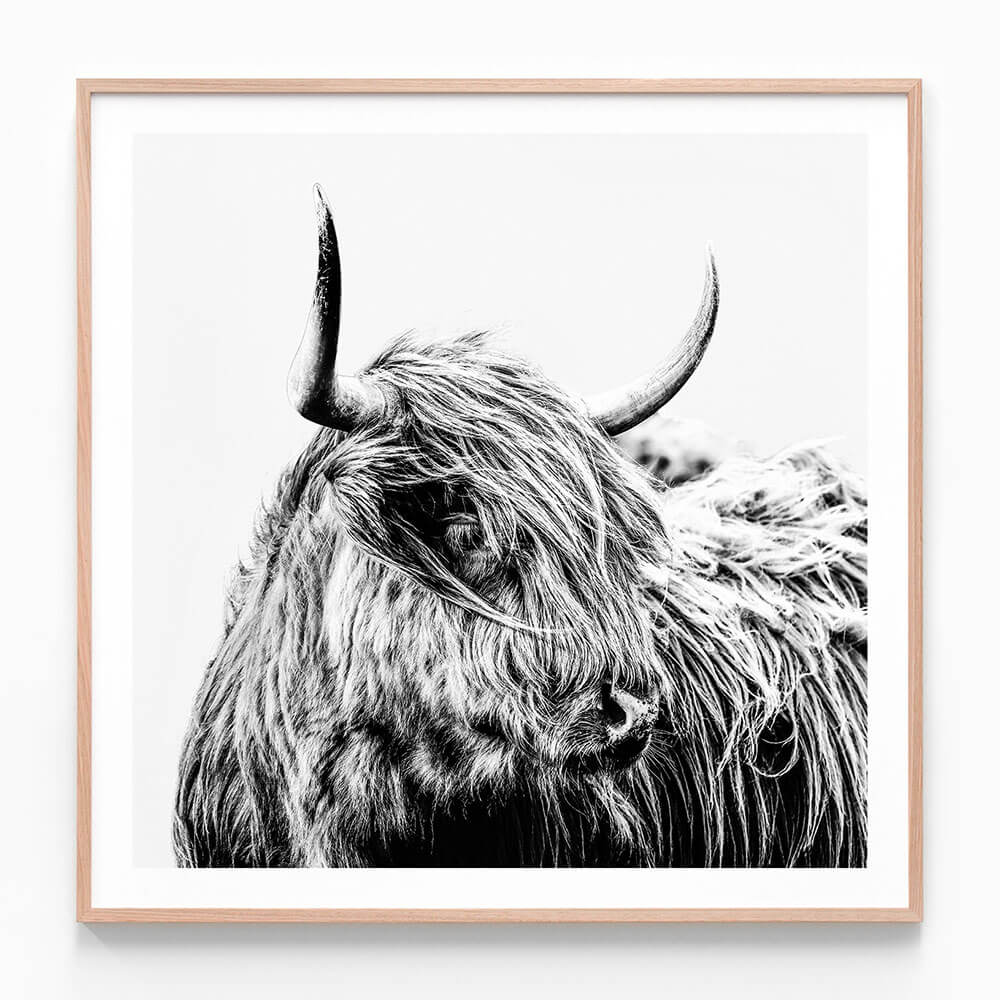Hamish B&W