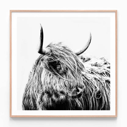 Hamish B&W