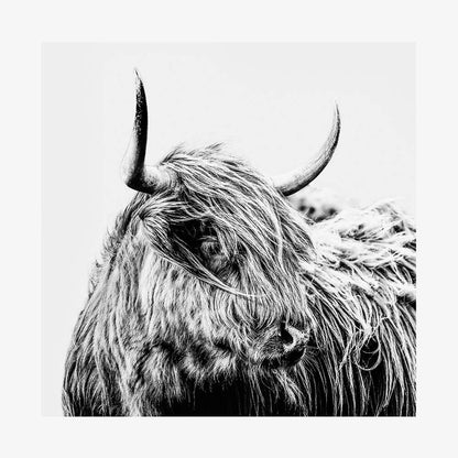 Hamish B&W