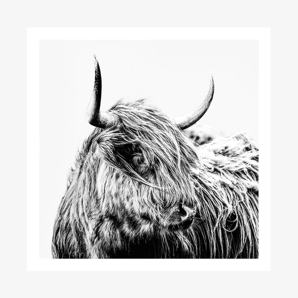 Hamish B&W