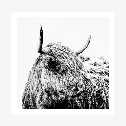 Hamish B&W