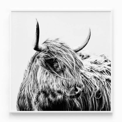 Hamish B&W