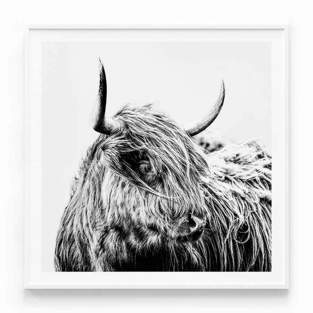 Hamish B&W
