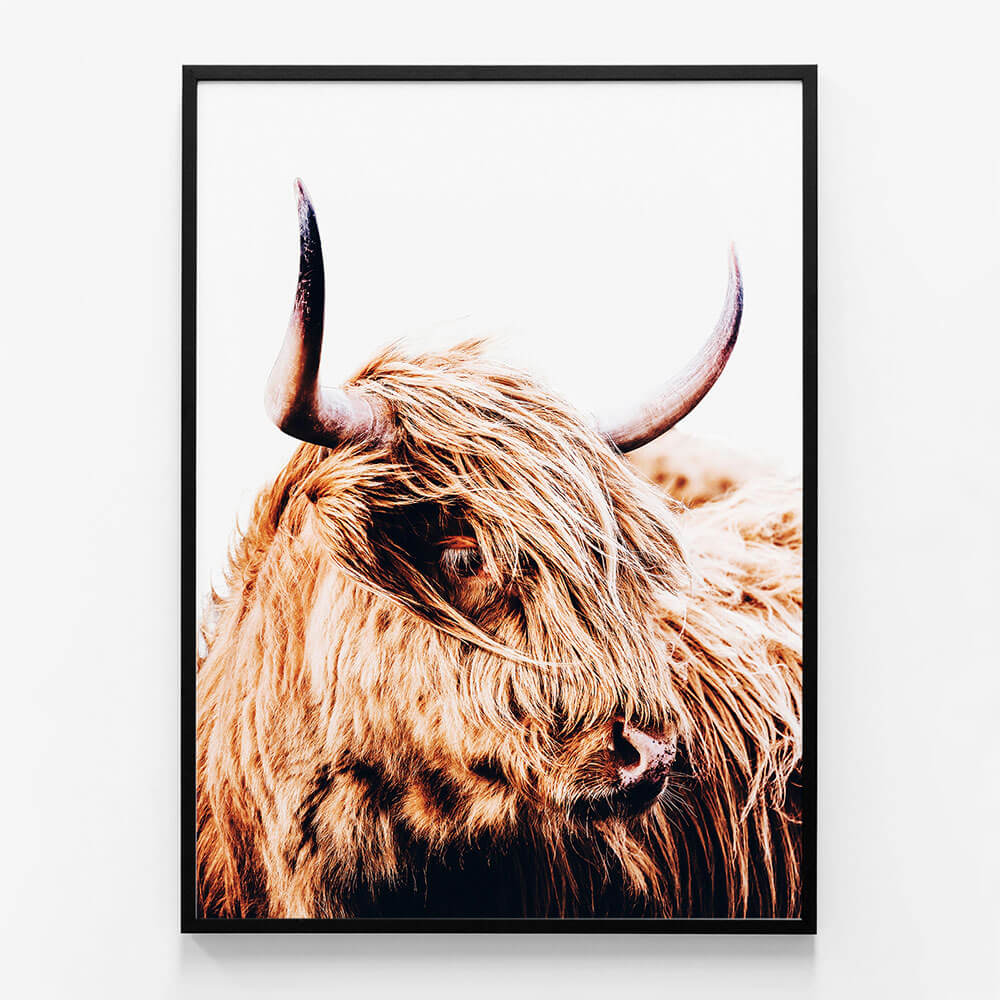 Hamish