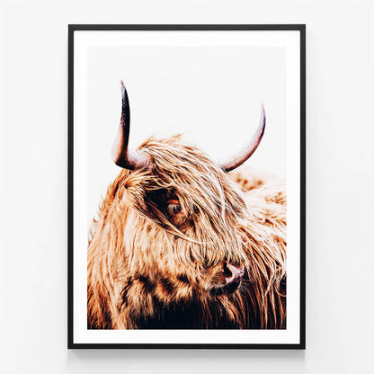 Hamish