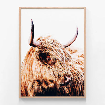 Hamish