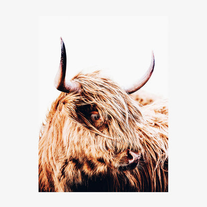 Hamish