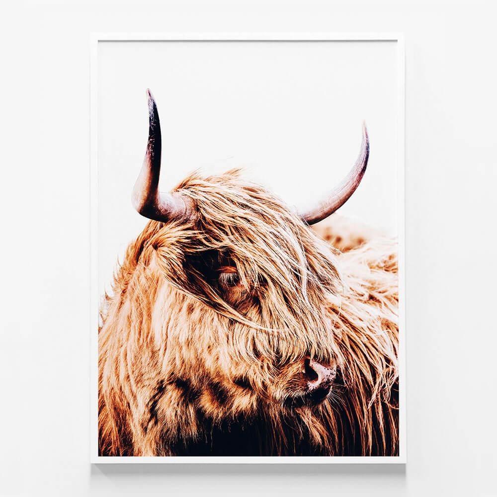 Hamish