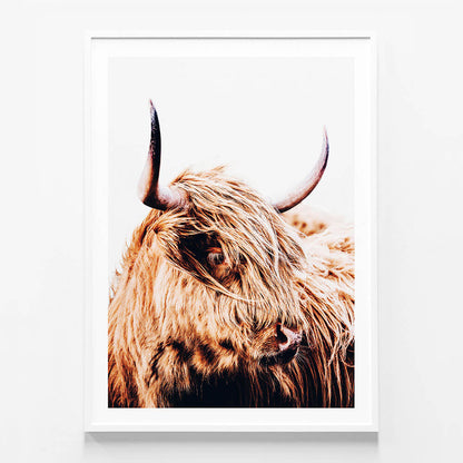 Hamish