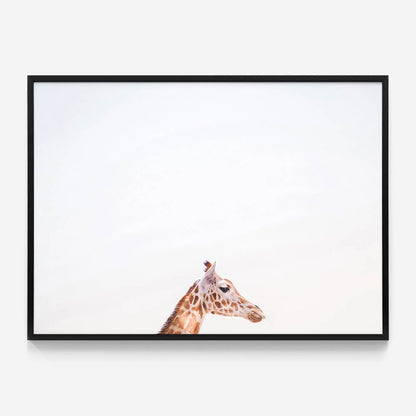 Happy Giraffe