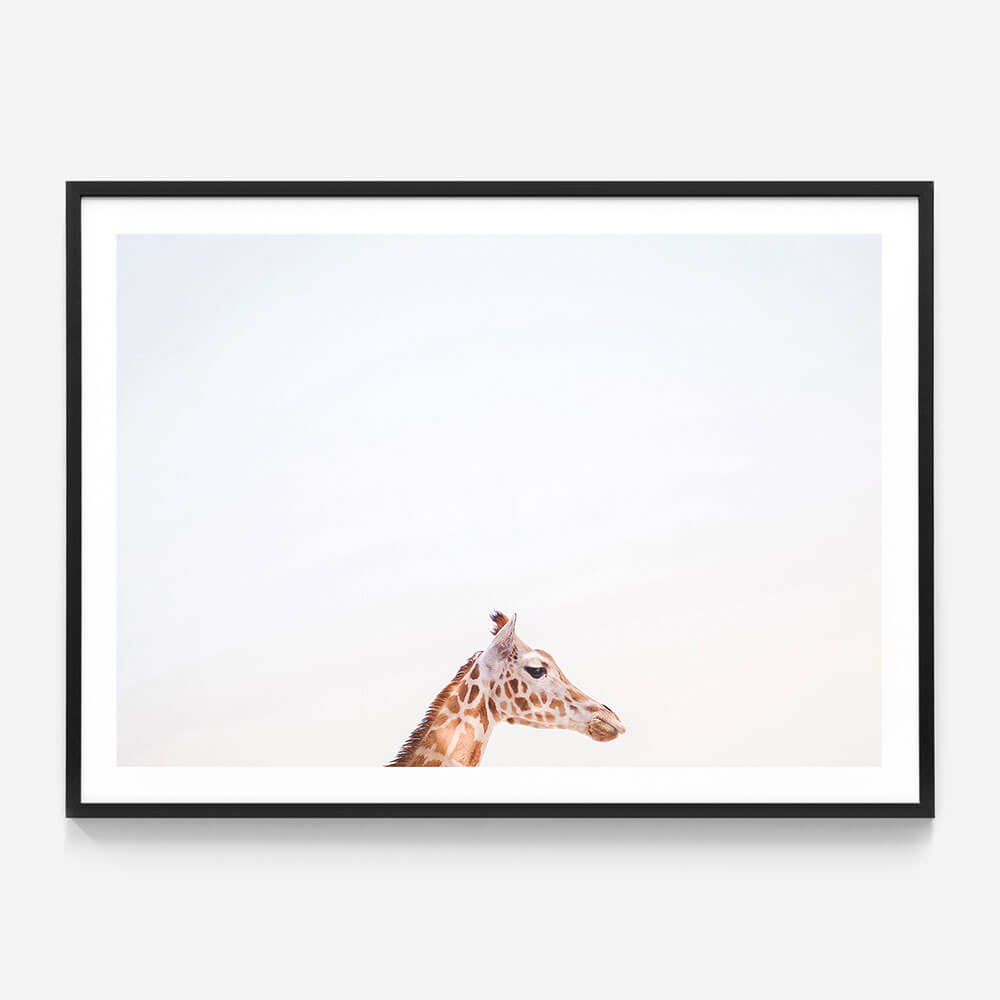 Happy Giraffe