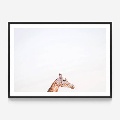 Happy Giraffe