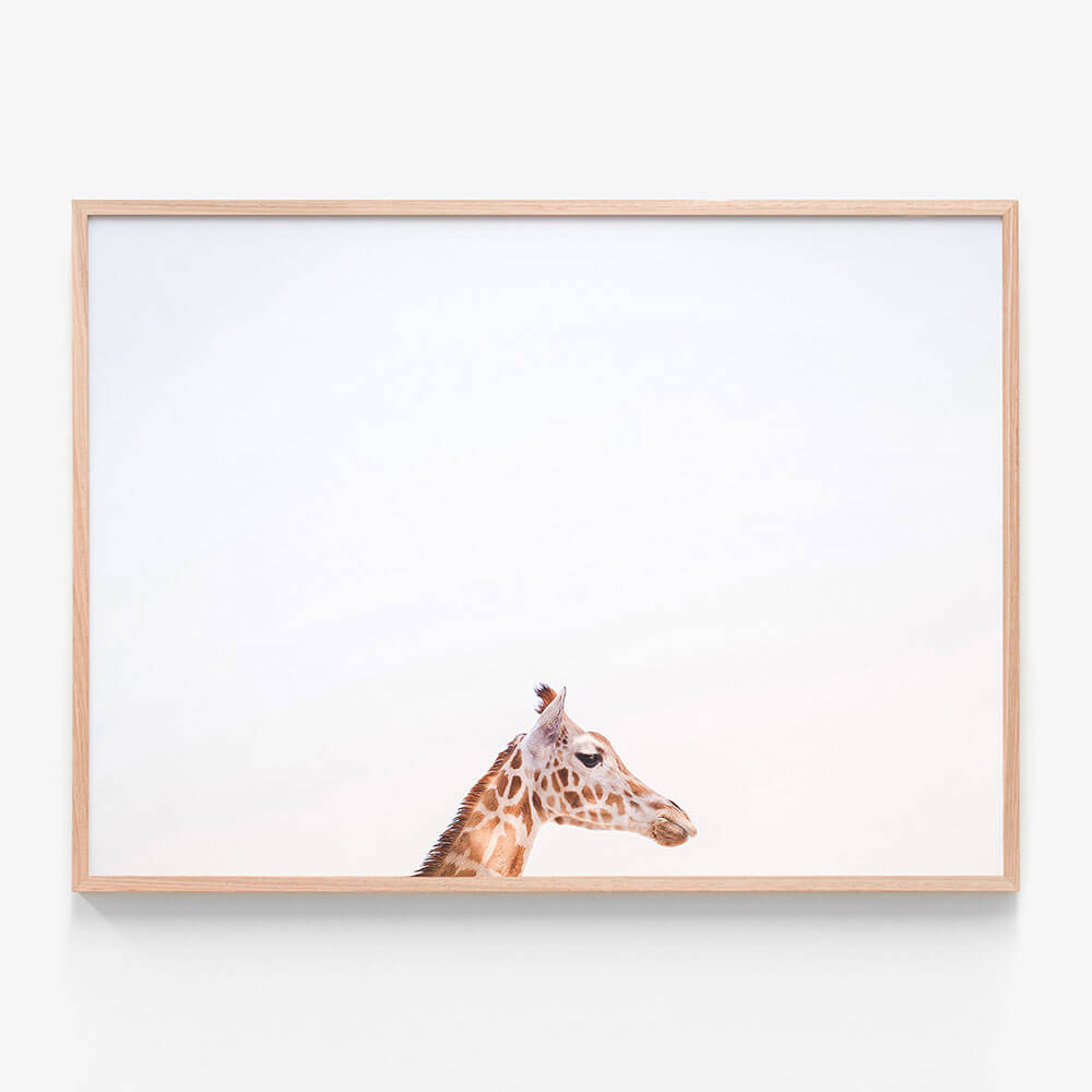 Happy Giraffe
