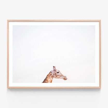 Happy Giraffe
