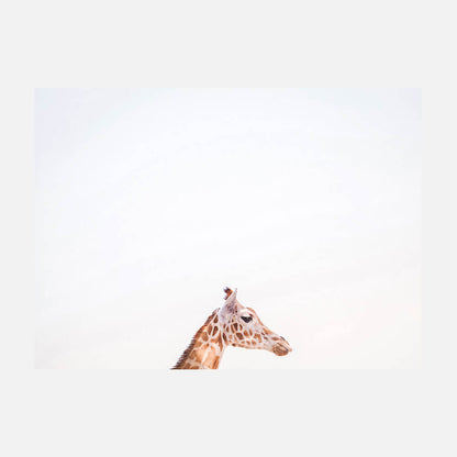 Happy Giraffe