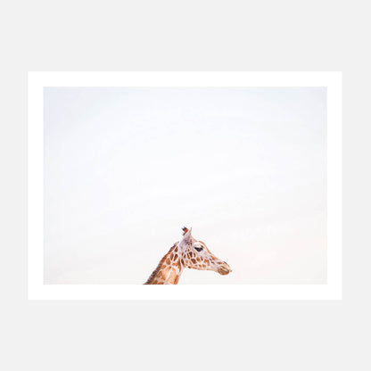 Happy Giraffe