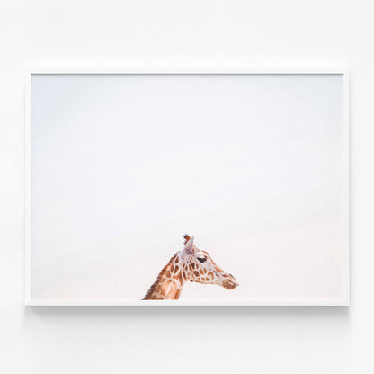 Happy Giraffe