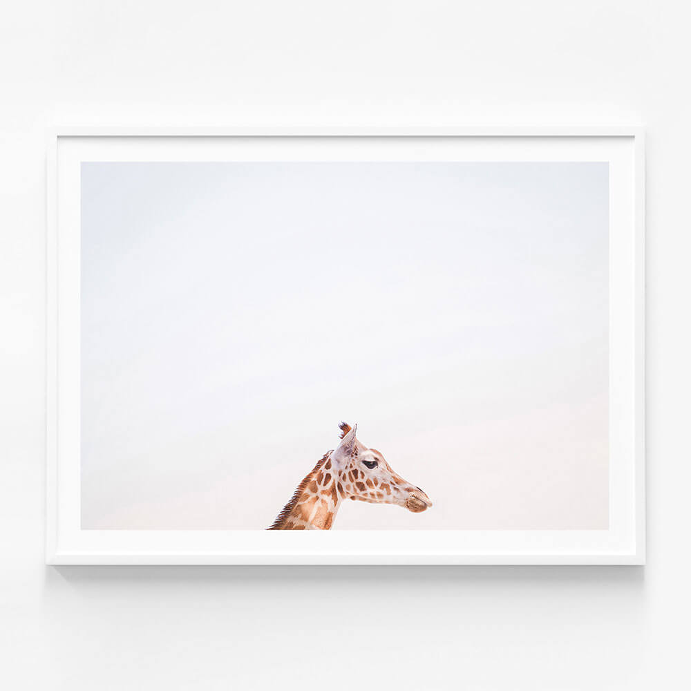 Happy Giraffe