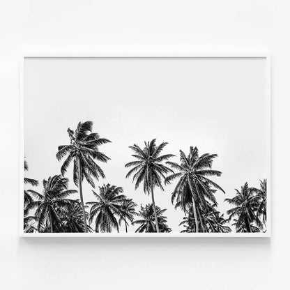Hawaii Palms B&W