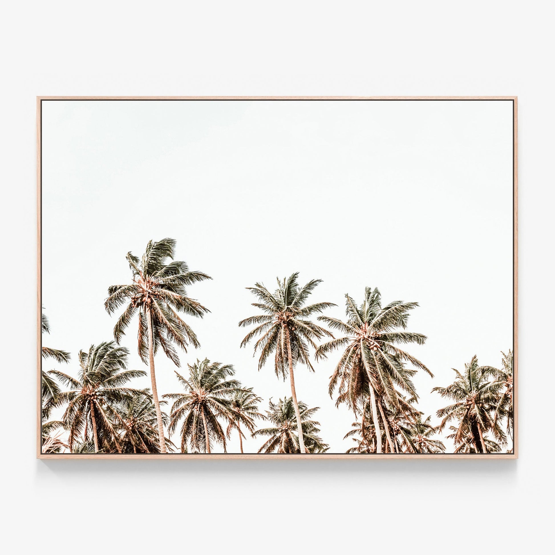 Hawaii Palms Canvas print in oak frame
