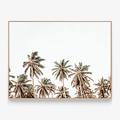 Hawaii Palms Canvas print in oak frame