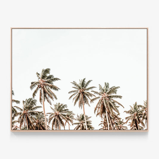 Hawaii Palms Canvas print in oak frame