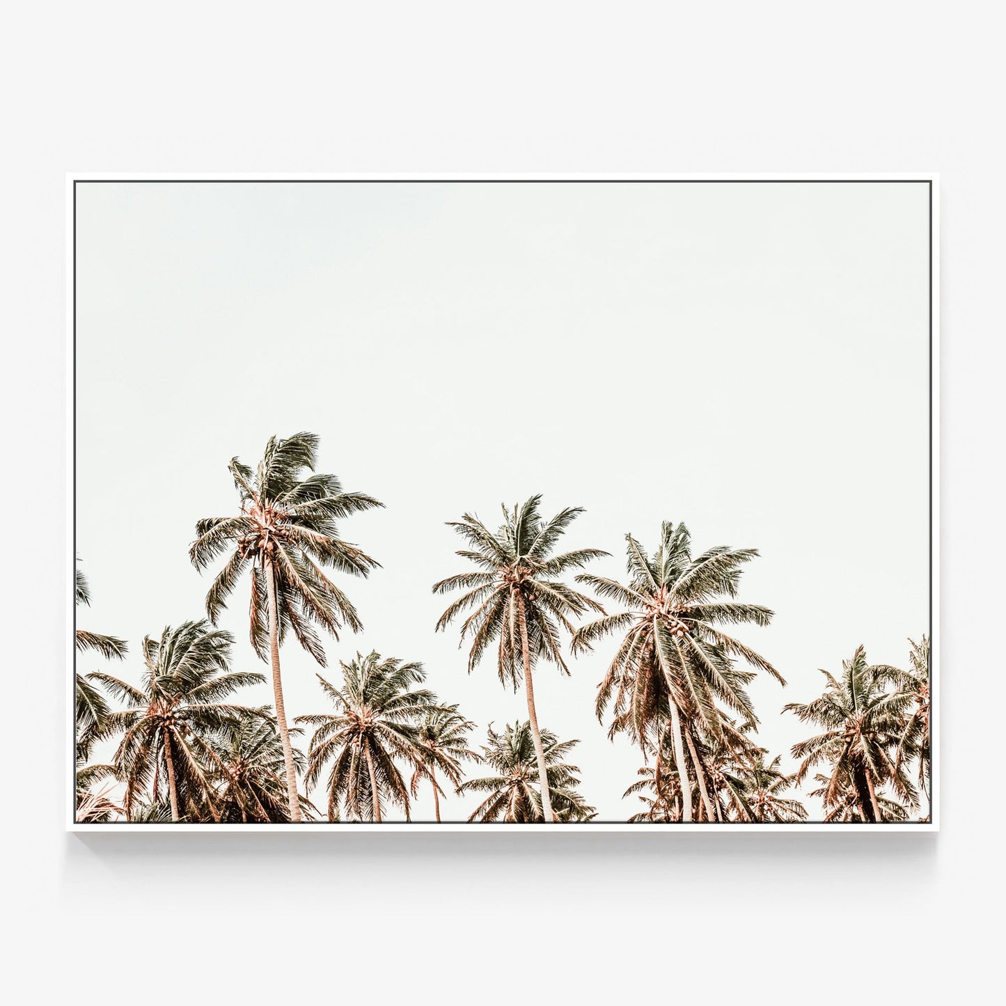 Hawaii Palms Canvas