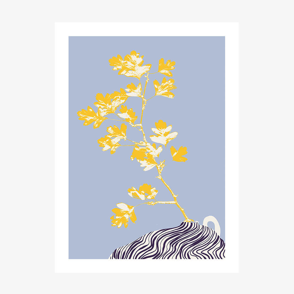 Hawthorn Still Life