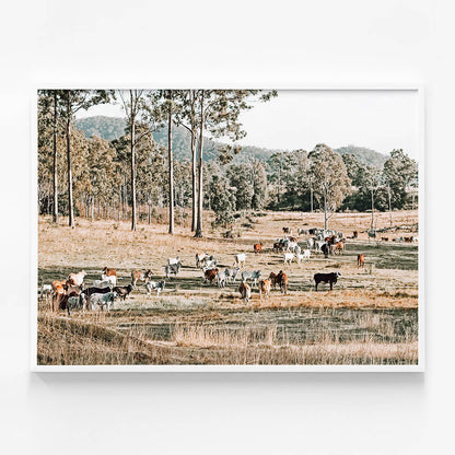 High Country