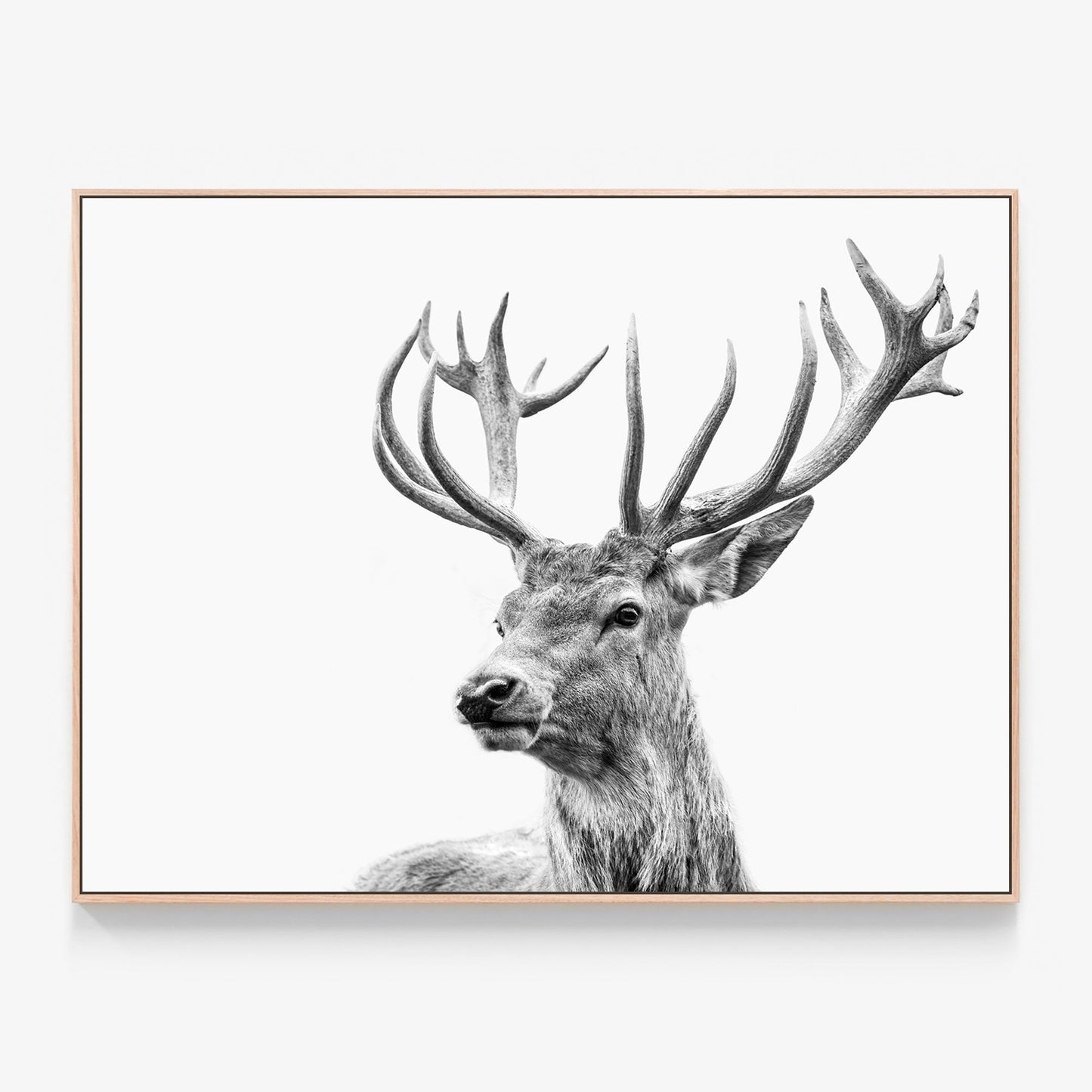 Highland Deer Canvas wall art with oak float frame