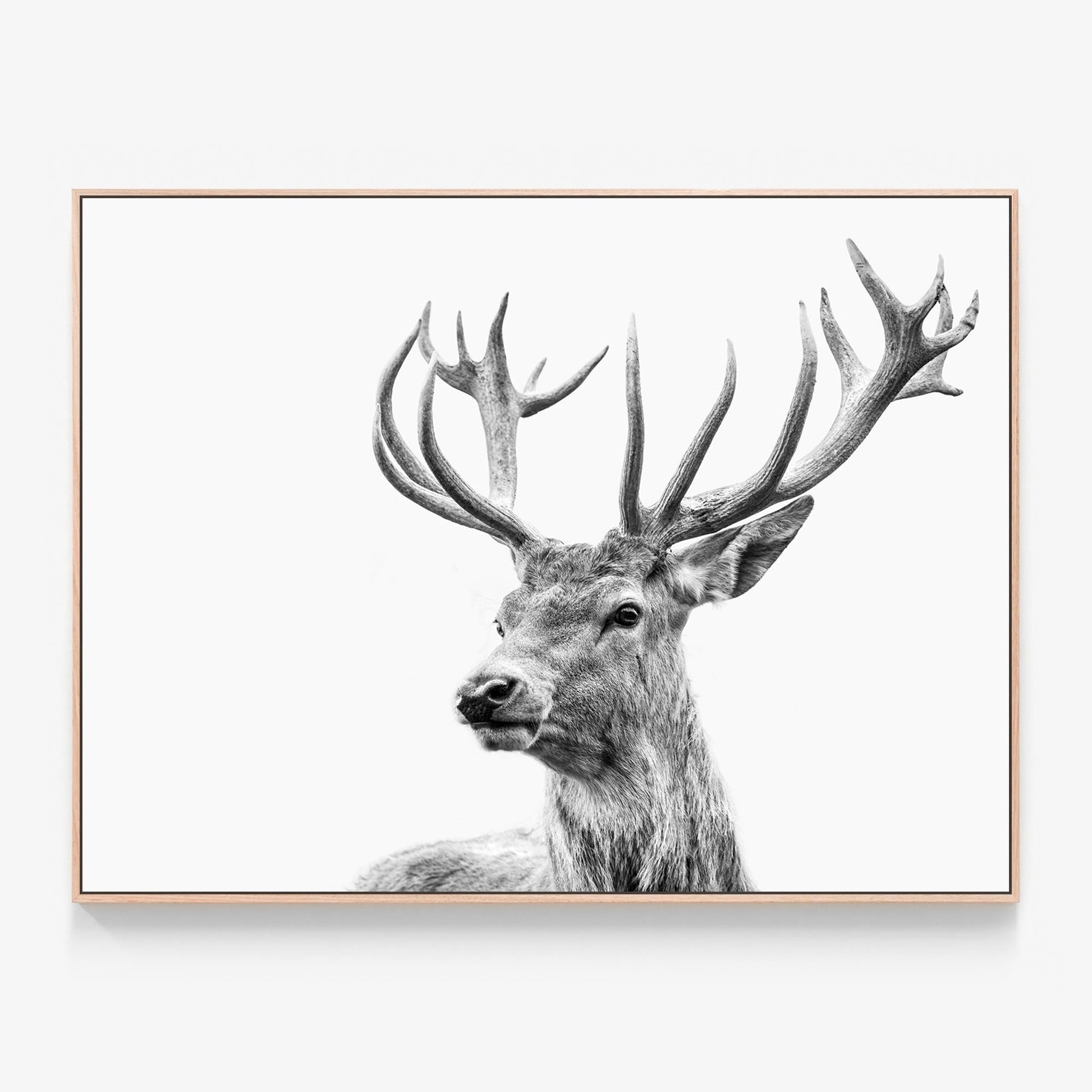 Highland Deer Canvas wall art with oak float frame