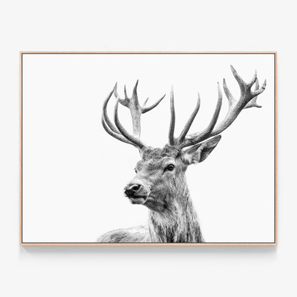 Highland Deer Canvas wall art with oak float frame